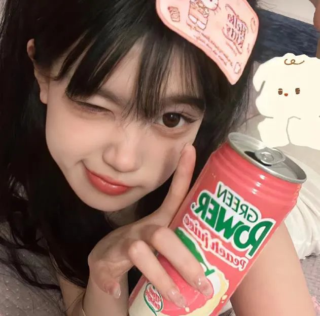 野狗们